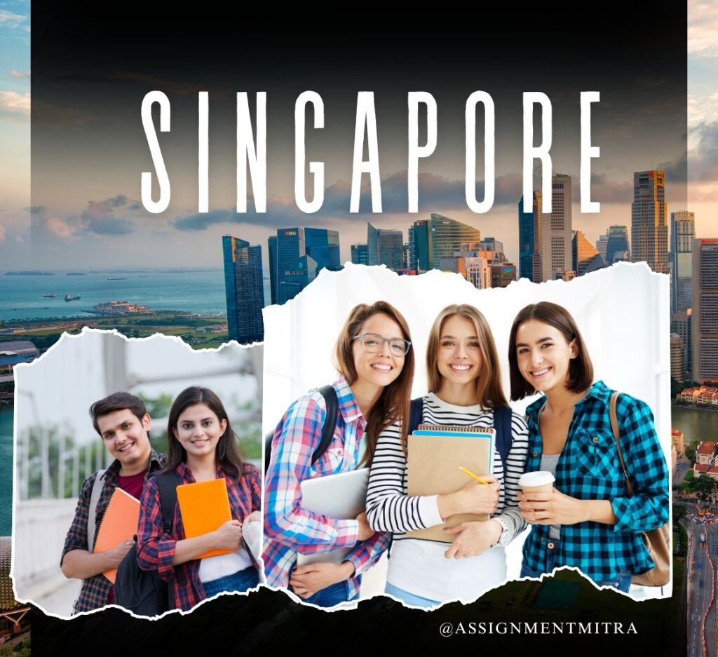 Assignment Help Singapore